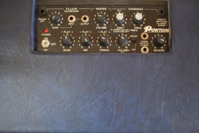 Polytone Mini Brute combo