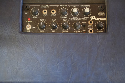 Polytone Mini Brute combo